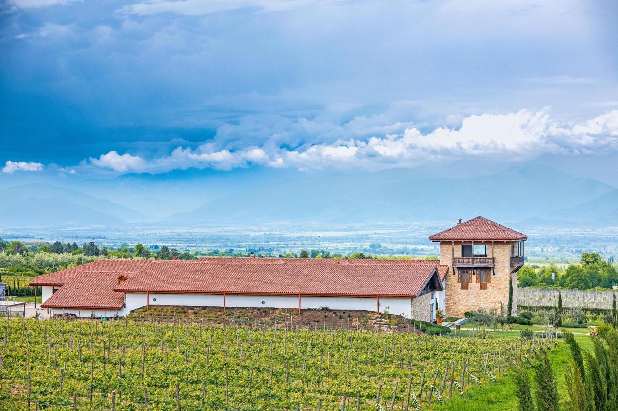 Chateau Mosmieri Hotel & Winery Telavi Luaran gambar