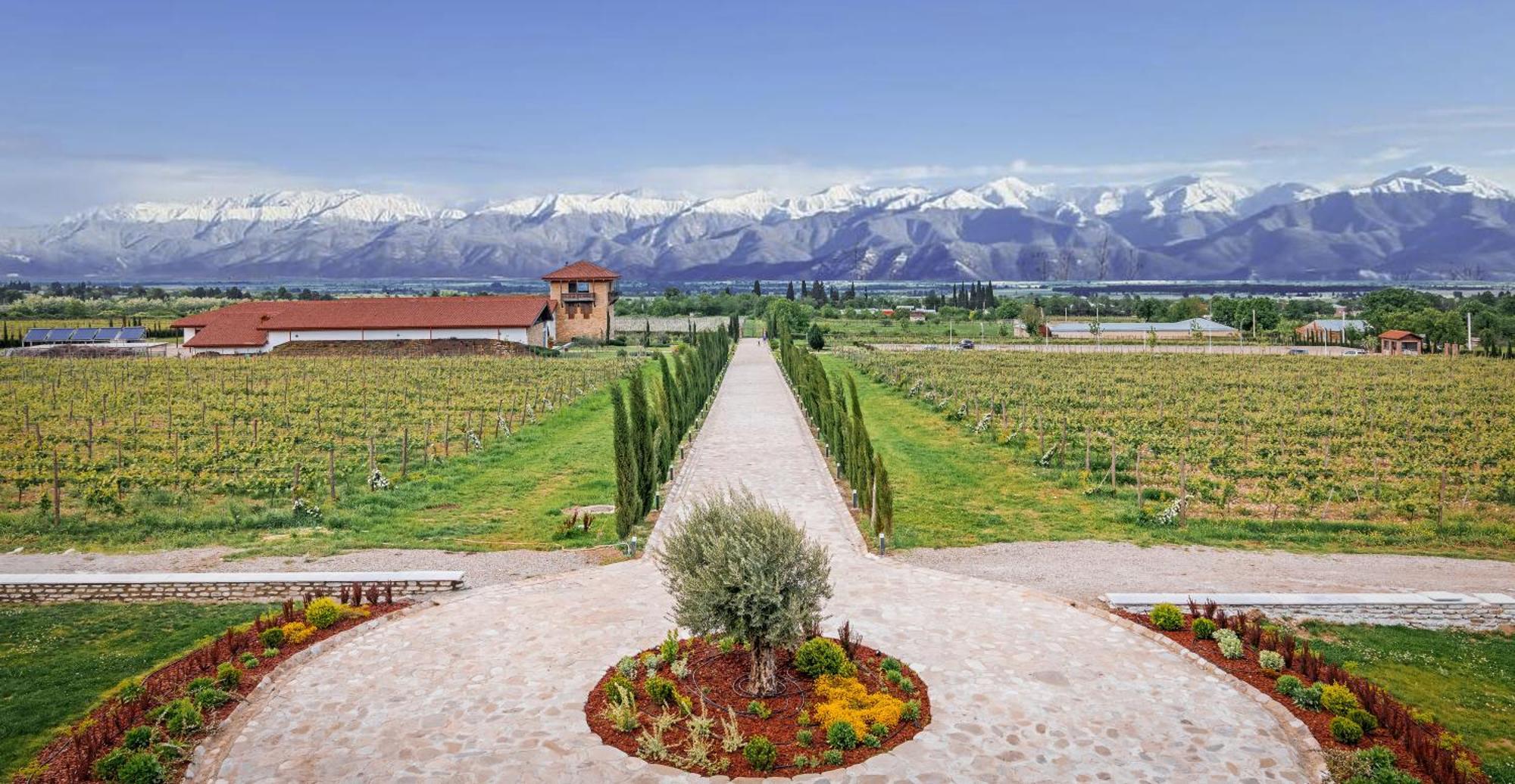 Chateau Mosmieri Hotel & Winery Telavi Luaran gambar